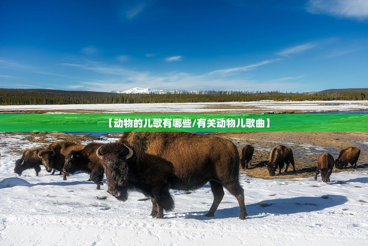 【动物的儿歌有哪些/有关动物儿歌曲】 【动物的儿歌有哪些/有关动物儿歌曲】