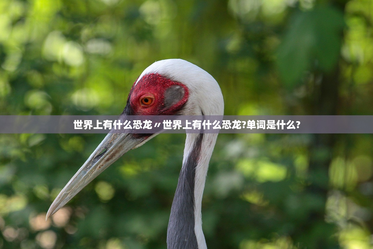 世界上有什么恐龙〃世界上有什么恐龙?单词是什么?