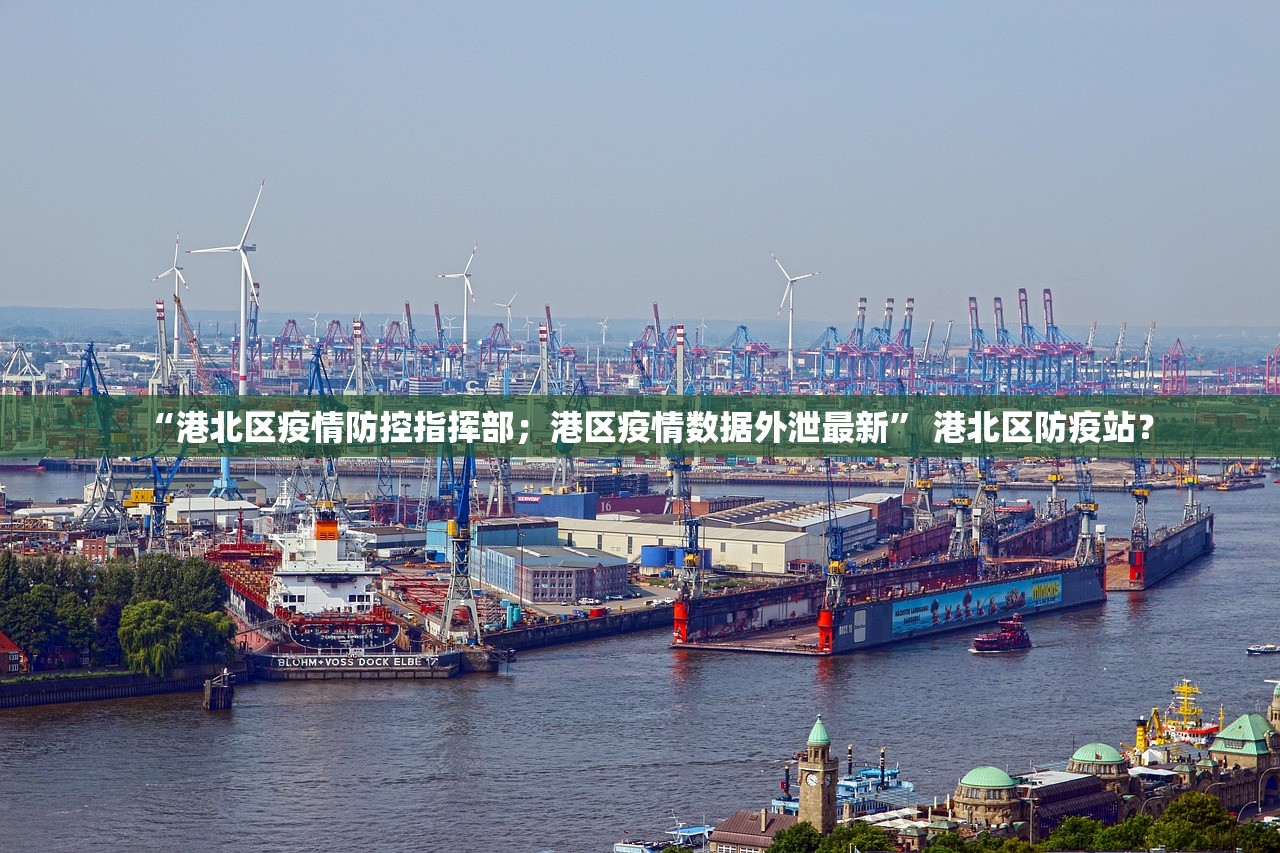 “港北区疫情防控指挥部；港区疫情数据外泄最新” 港北区防疫站？