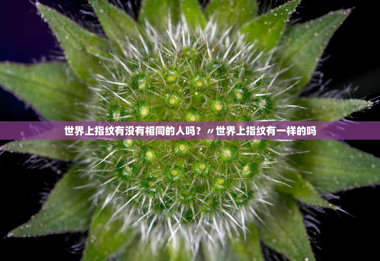 世界上指纹有没有相同的人吗?〃世界上指纹有一样的吗 世界上指纹有没有相同的人吗?〃世界上指纹有一样的吗