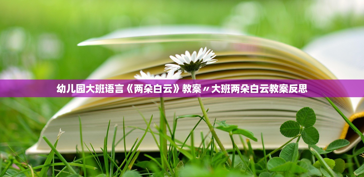 幼儿园大班语言《两朵白云》教案〃大班两朵白云教案反思