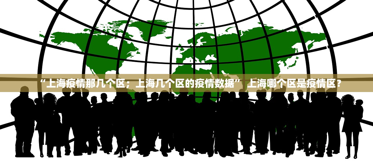 “上海疫情那几个区；上海几个区的疫情数据	” 上海哪个区是疫情区？