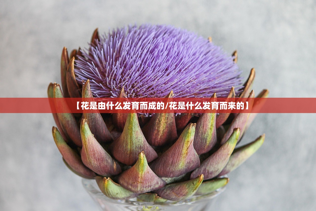 【花是由什么发育而成的/花是什么发育而来的】