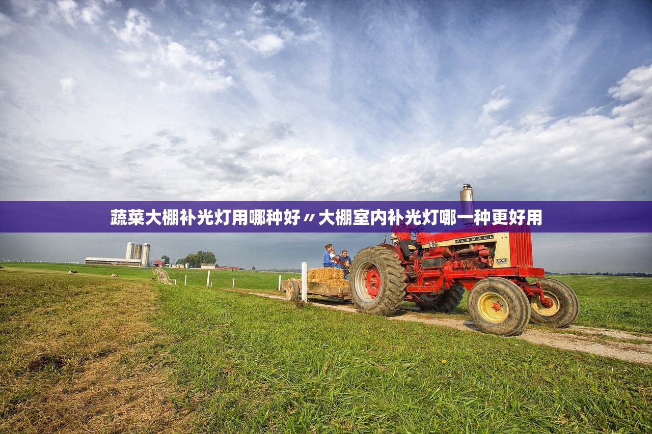蔬菜大棚补光灯用哪种好〃大棚室内补光灯哪一种更好用 蔬菜大棚补光灯用哪种好〃大棚室内补光灯哪一种更好用
