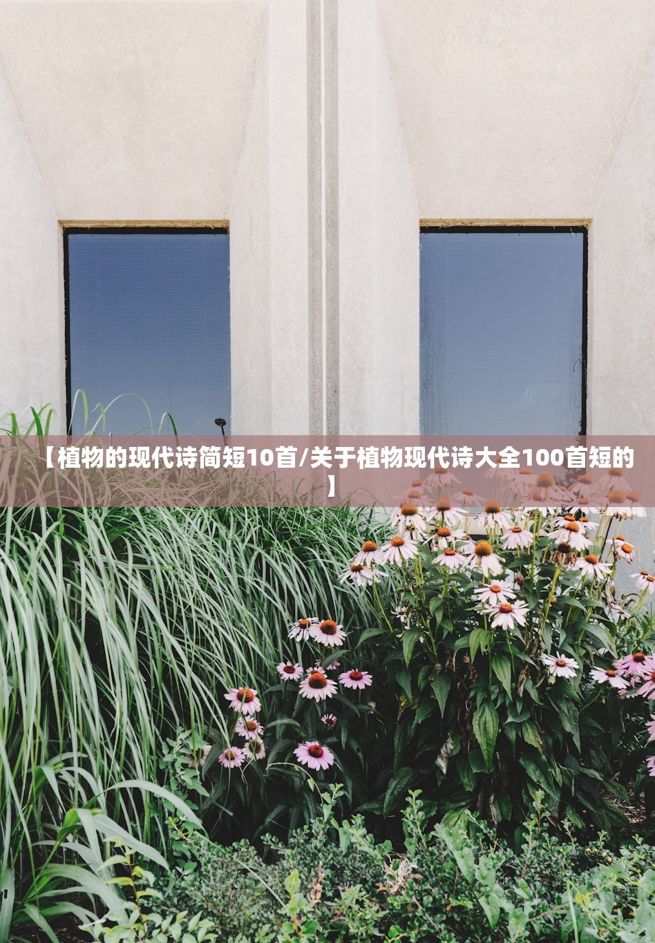 【植物的现代诗简短10首/关于植物现代诗大全100首短的】 【植物的现代诗简短10首/关于植物现代诗大全100首短的】