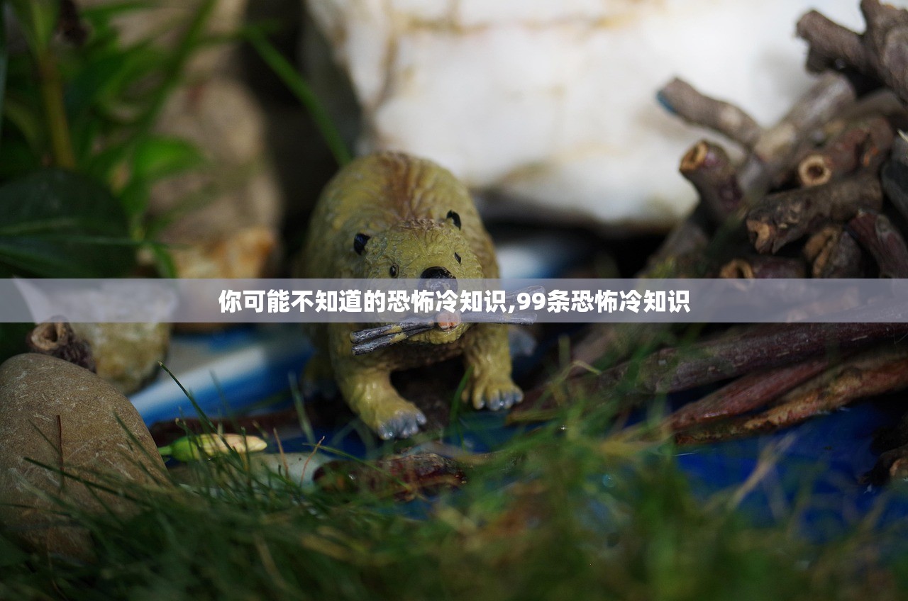 你可能不知道的恐怖冷知识,99条恐怖冷知识 你可能不知道的恐怖冷知识,99条恐怖冷知识