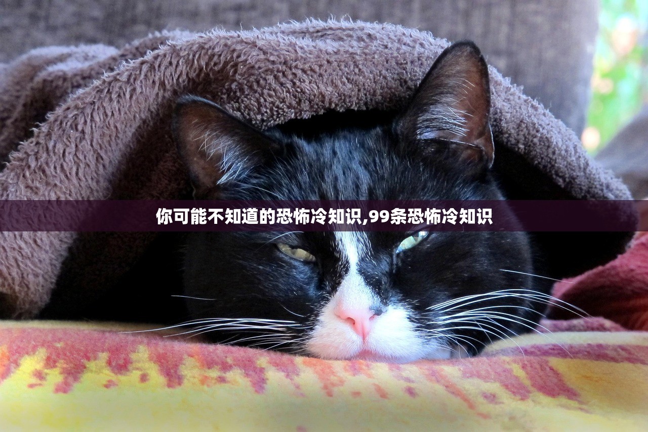 你可能不知道的恐怖冷知识,99条恐怖冷知识 你可能不知道的恐怖冷知识,99条恐怖冷知识