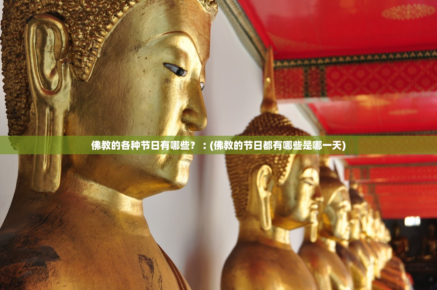 佛教的各种节日有哪些？︰(佛教的节日都有哪些是哪一天)