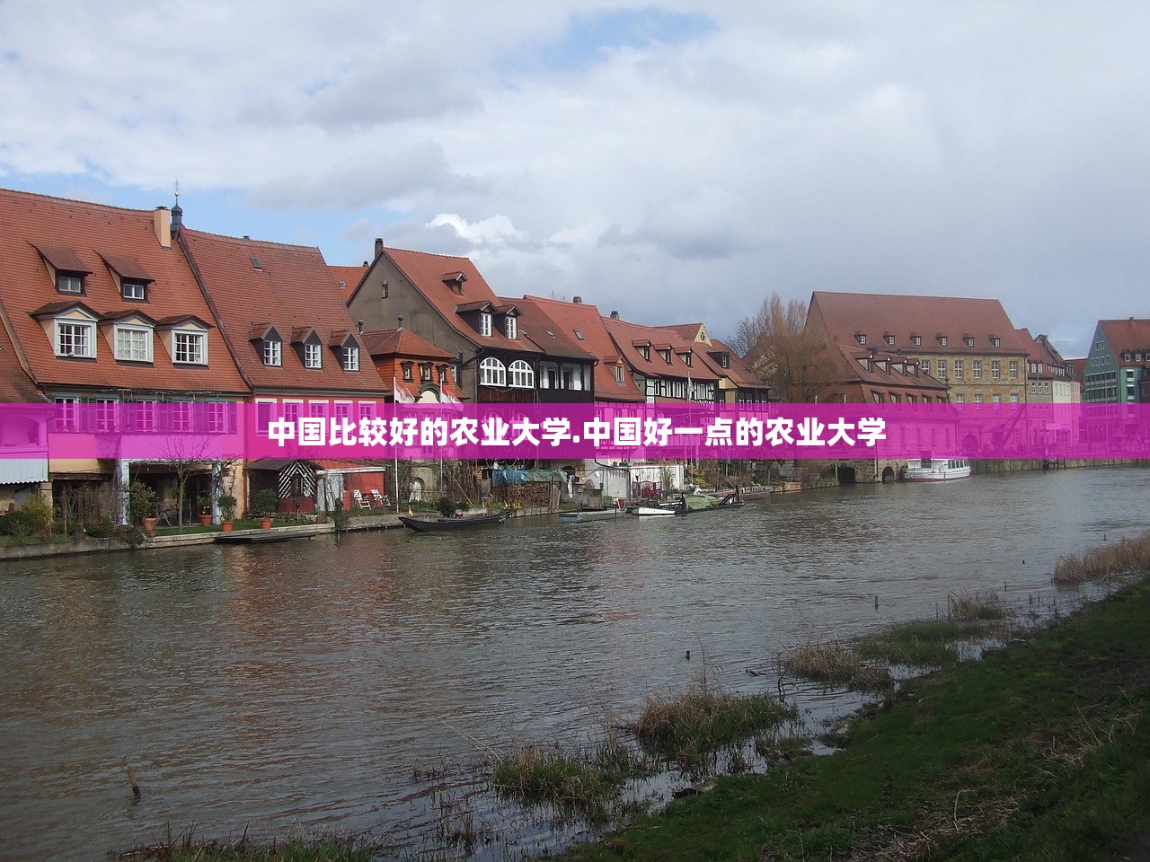 中国比较好的农业大学.中国好一点的农业大学