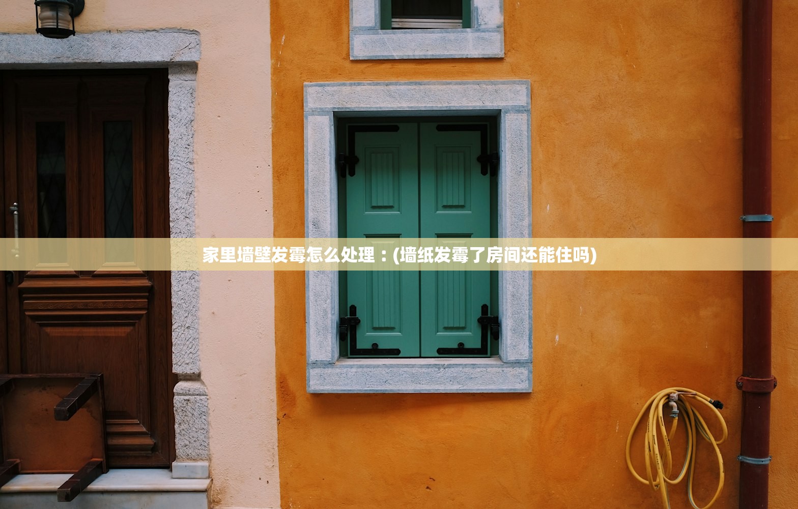 家里墙壁发霉怎么处理︰(墙纸发霉了房间还能住吗) 家里墙壁发霉怎么处理︰(墙纸发霉了房间还能住吗)