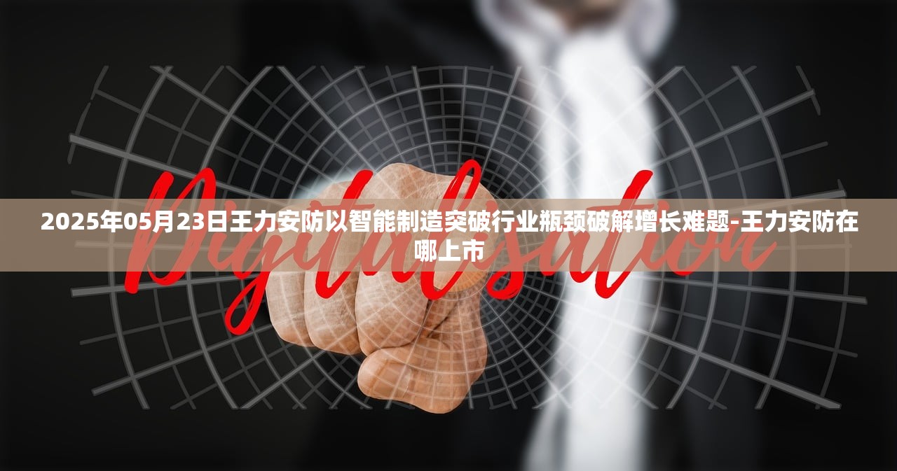 2025年05月23日王力安防以智能制造突破行业瓶颈破解增长难题-王力安防在哪上市