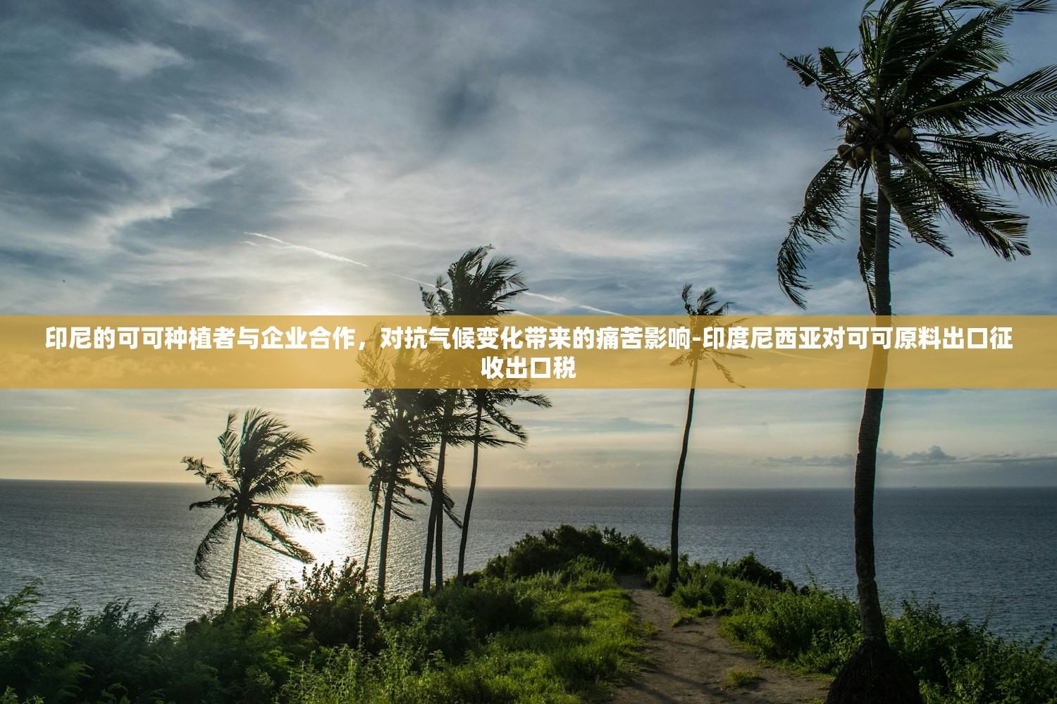 印尼的可可种植者与企业合作	，对抗气候变化带来的痛苦影响-印度尼西亚对可可原料出口征收出口税