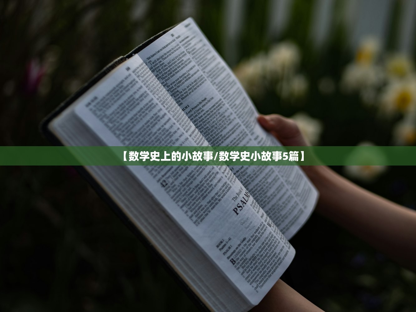 【数学史上的小故事/数学史小故事5篇】 【数学史上的小故事/数学史小故事5篇】