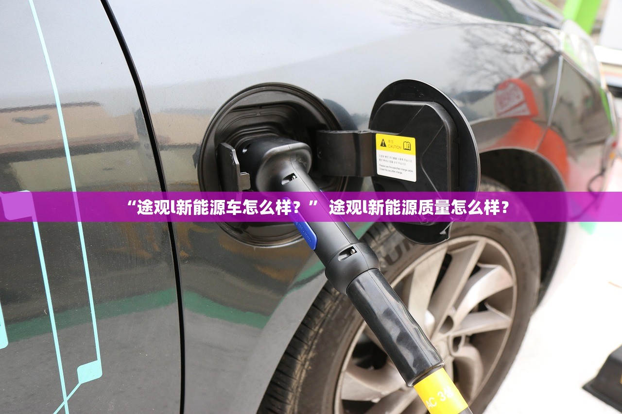 “途观l新能源车怎么样？” 途观l新能源质量怎么样？
