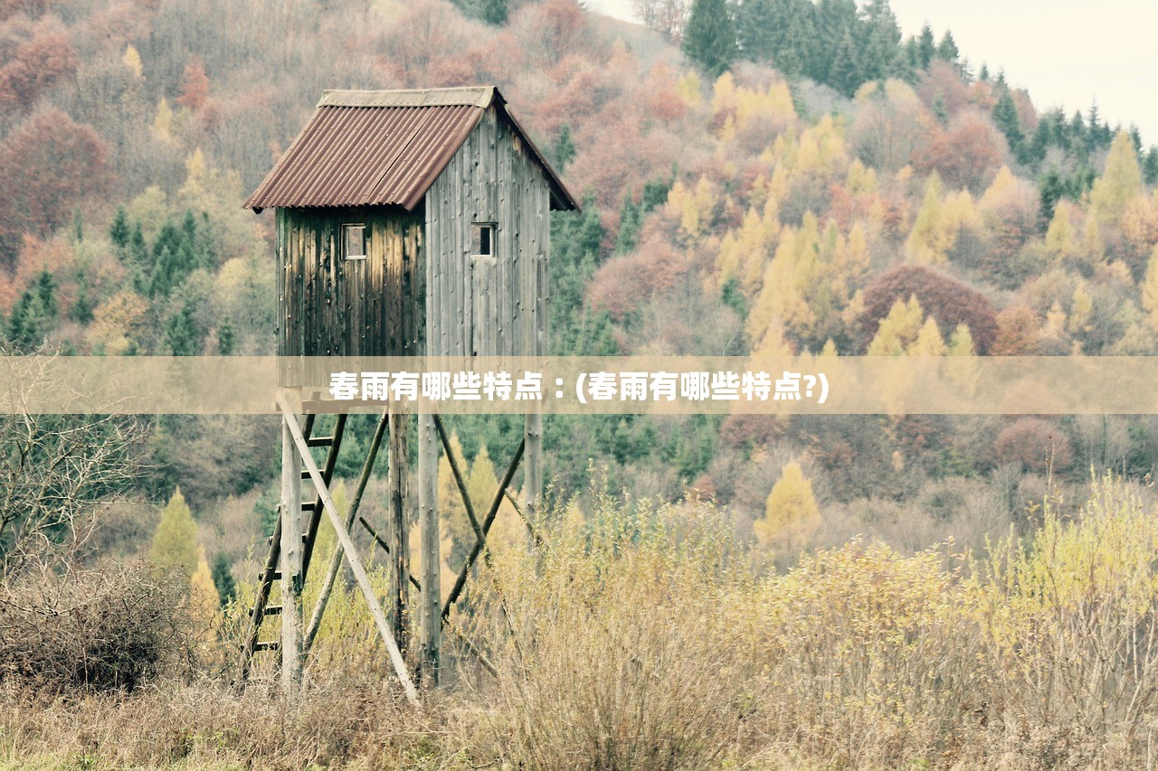 春雨有哪些特点︰(春雨有哪些特点?)