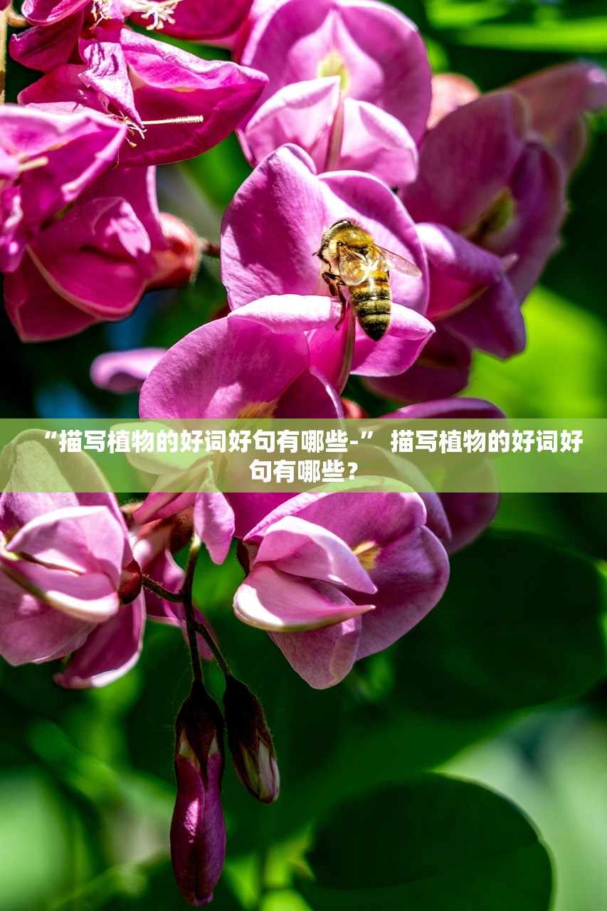 “描写植物的好词好句有哪些-” 描写植物的好词好句有哪些？