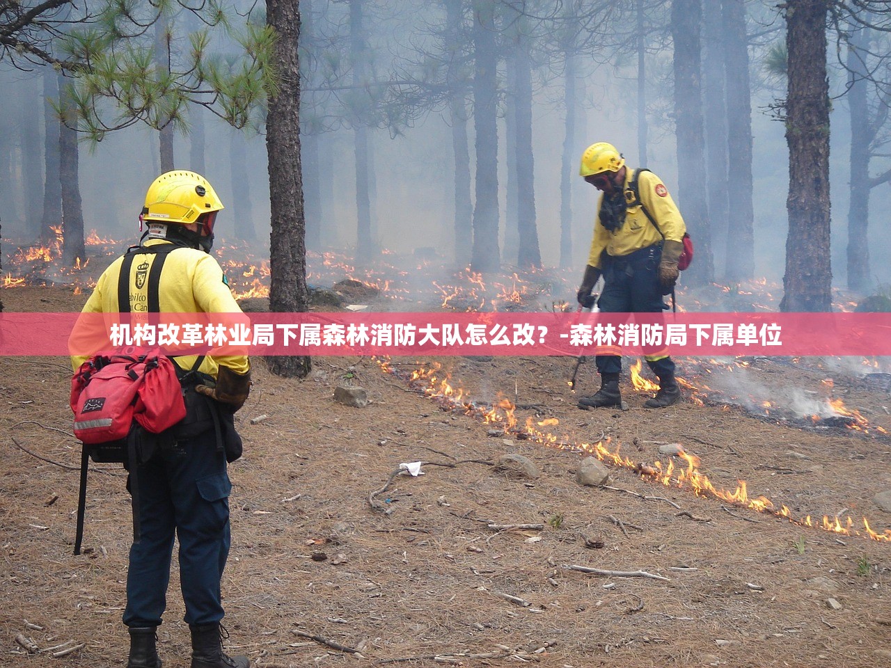 机构改革林业局下属森林消防大队怎么改?-森林消防局下属单位 机构改革林业局下属森林消防大队怎么改?-森林消防局下属单位