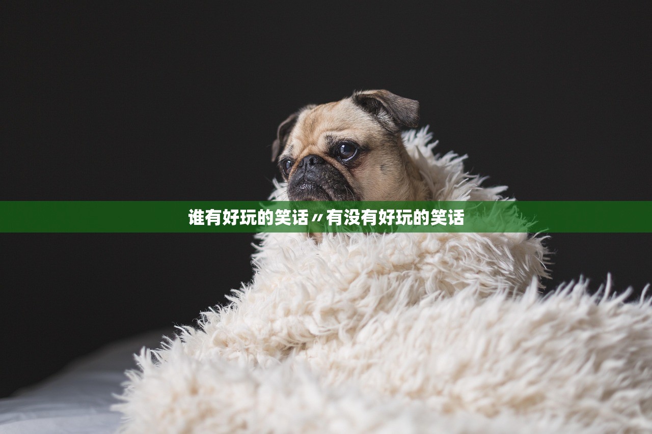 谁有好玩的笑话〃有没有好玩的笑话