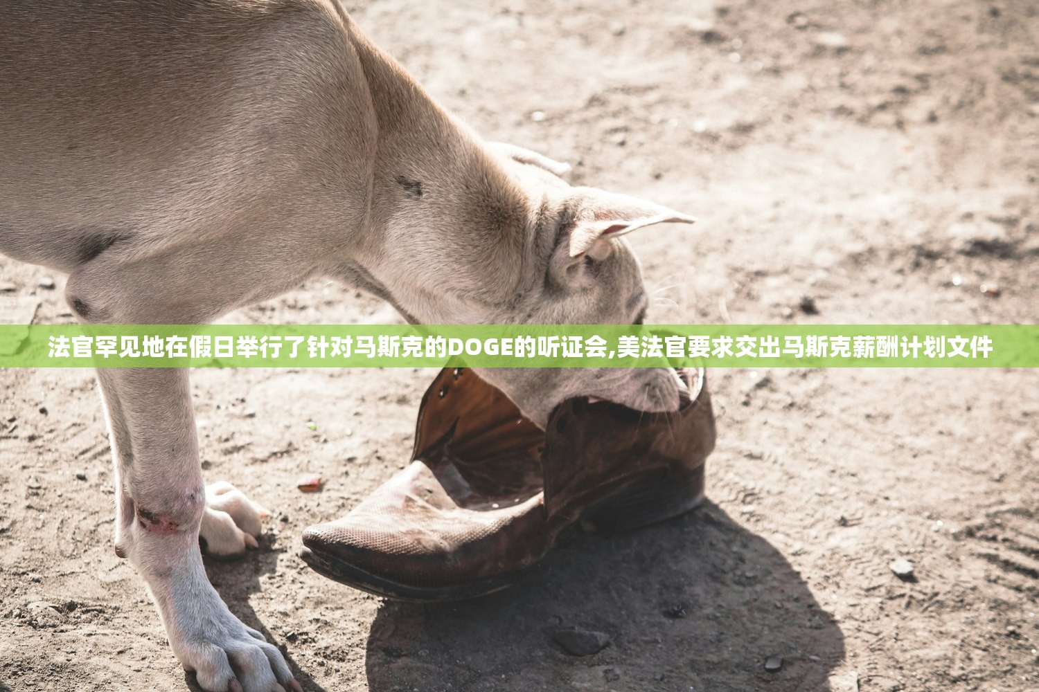 法官罕见地在假日举行了针对马斯克的DOGE的听证会,美法官要求交出马斯克薪酬计划文件