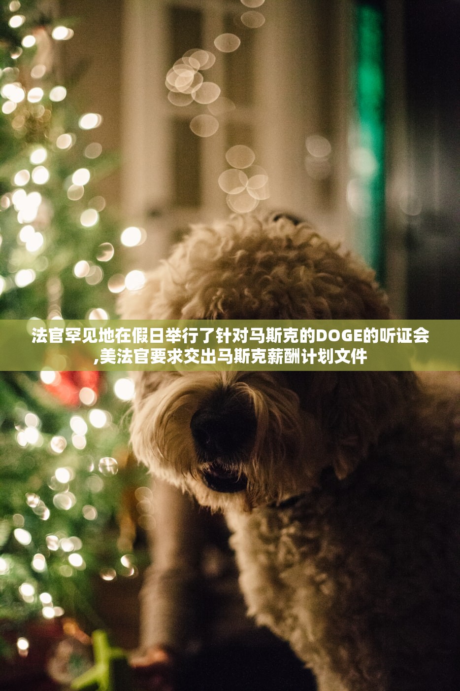 法官罕见地在假日举行了针对马斯克的DOGE的听证会,美法官要求交出马斯克薪酬计划文件