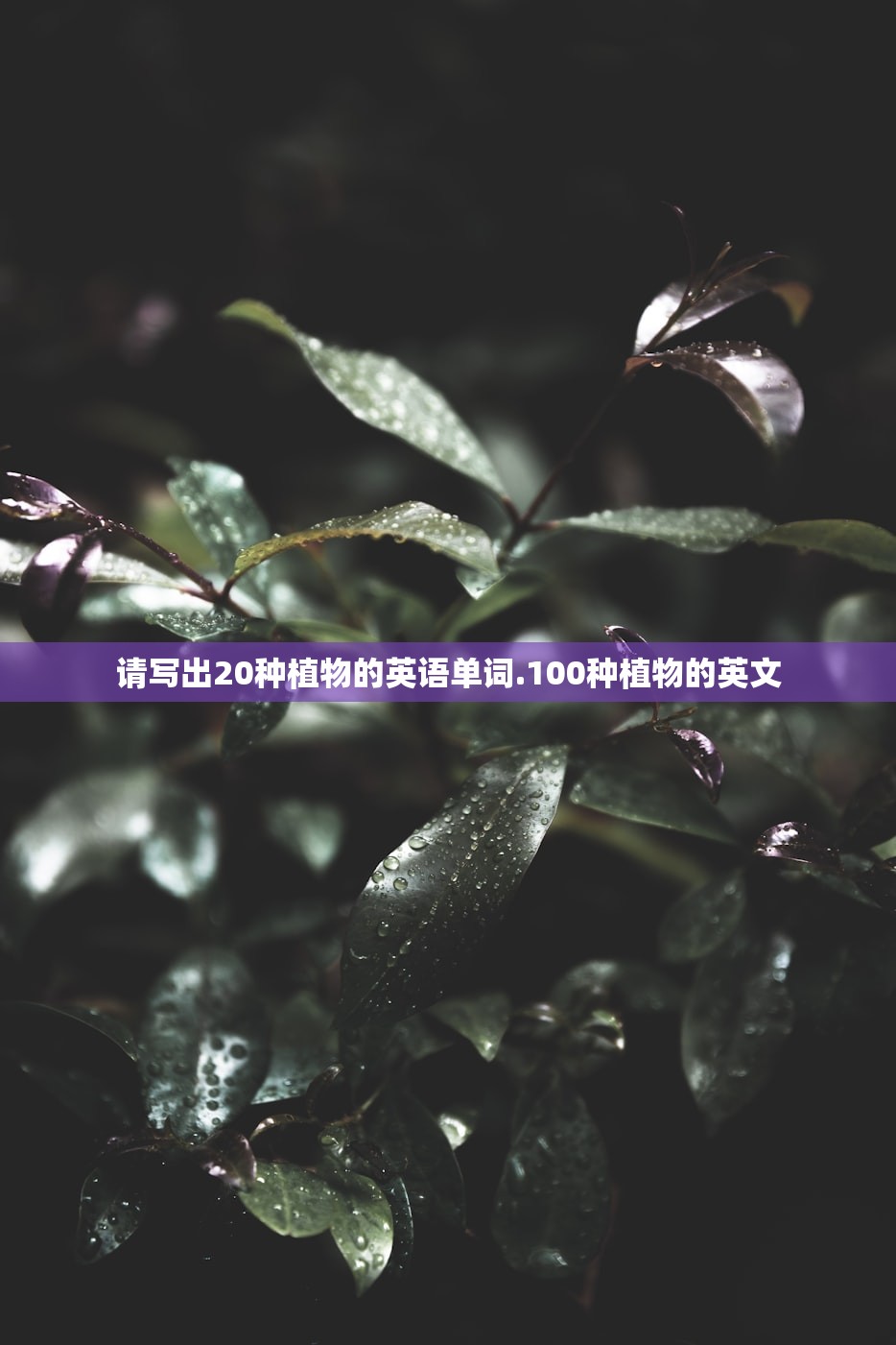 请写出20种植物的英语单词.100种植物的英文 请写出20种植物的英语单词.100种植物的英文