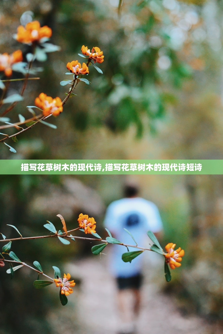 描写花草树木的现代诗,描写花草树木的现代诗短诗 描写花草树木的现代诗,描写花草树木的现代诗短诗