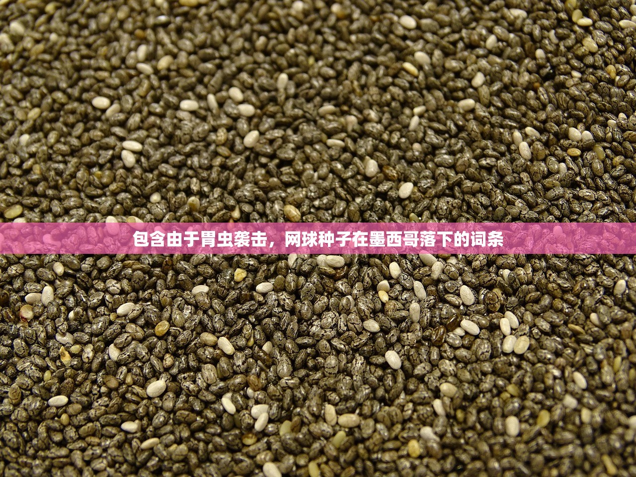 包含由于胃虫袭击，网球种子在墨西哥落下的词条