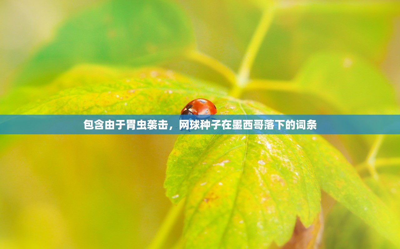 包含由于胃虫袭击，网球种子在墨西哥落下的词条