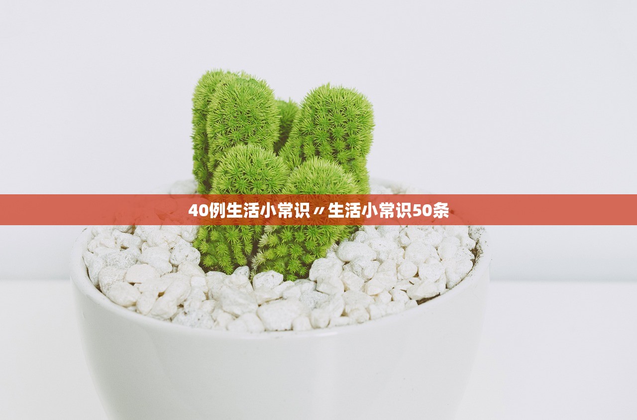 40例生活小常识〃生活小常识50条