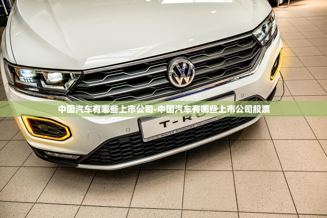 中国汽车有哪些上市公司-中国汽车有哪些上市公司股票 中国汽车有哪些上市公司-中国汽车有哪些上市公司股票