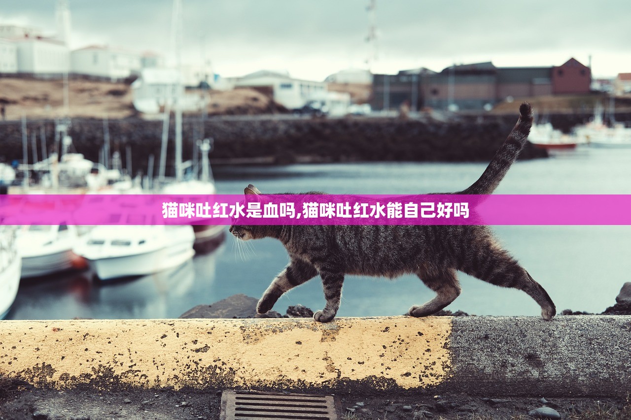 猫咪吐红水是血吗,猫咪吐红水能自己好吗