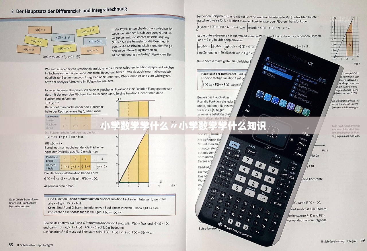 小学数学学什么〃小学数学学什么知识