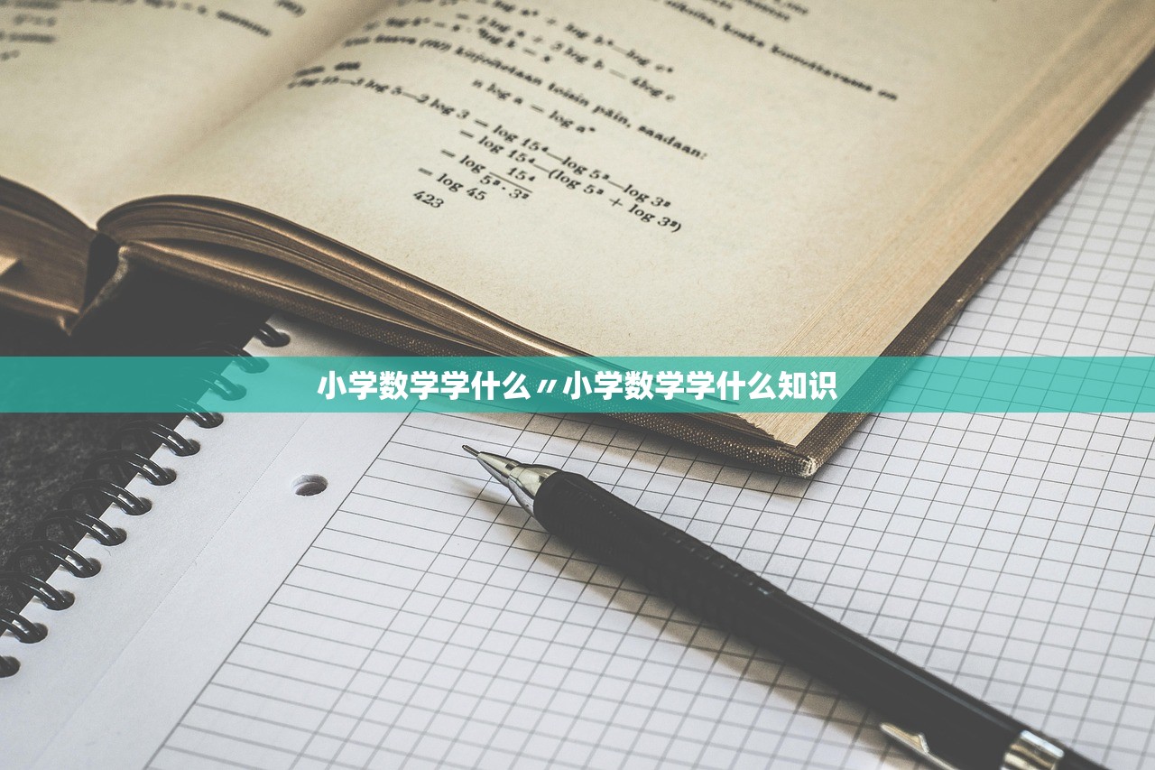 小学数学学什么〃小学数学学什么知识