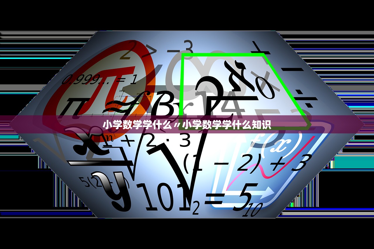 小学数学学什么〃小学数学学什么知识