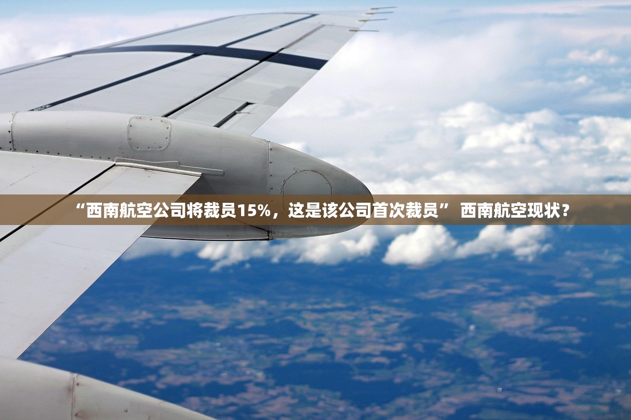 “西南航空公司将裁员15%	，这是该公司首次裁员” 西南航空现状？