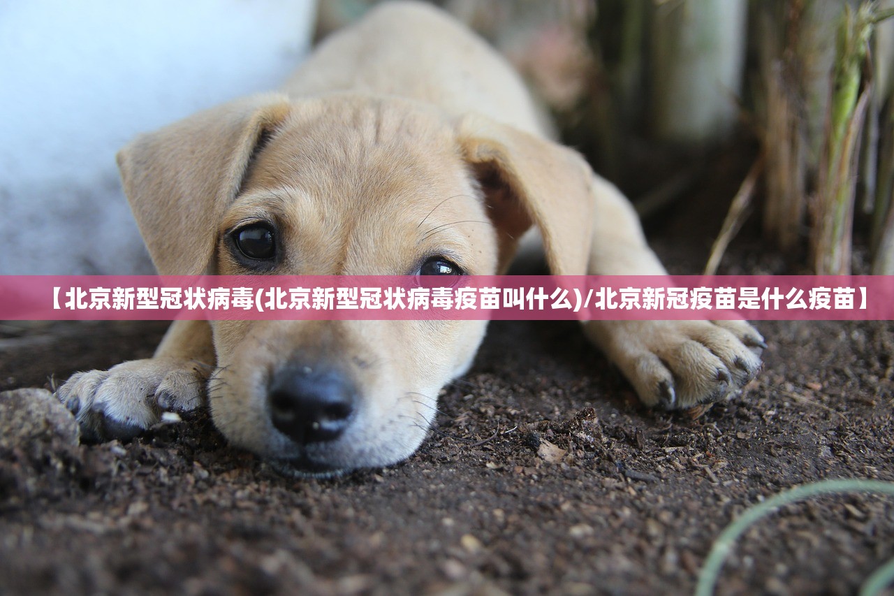 【北京新型冠状病毒(北京新型冠状病毒疫苗叫什么)/北京新冠疫苗是什么疫苗】 【北京新型冠状病毒(北京新型冠状病毒疫苗叫什么)/北京新冠疫苗是什么疫苗】