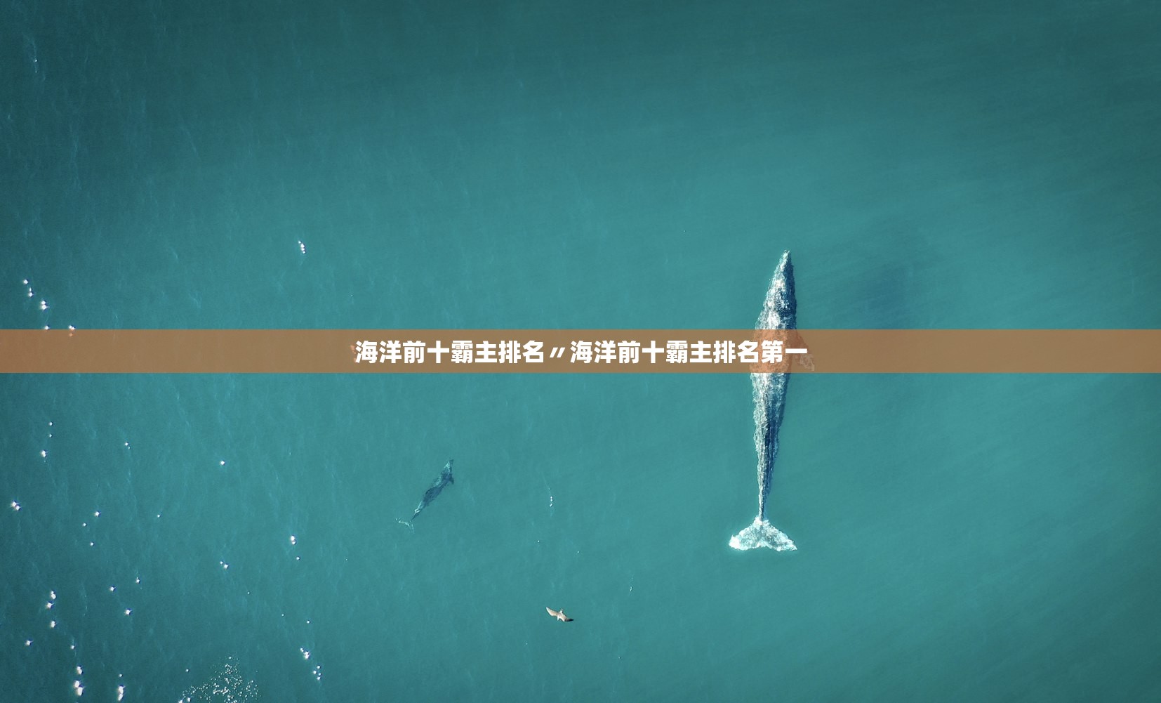 海洋前十霸主排名〃海洋前十霸主排名第一