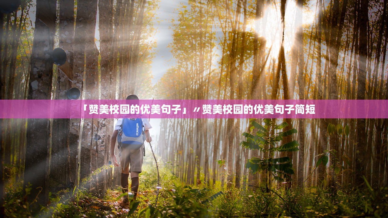 「赞美校园的优美句子」〃赞美校园的优美句子简短