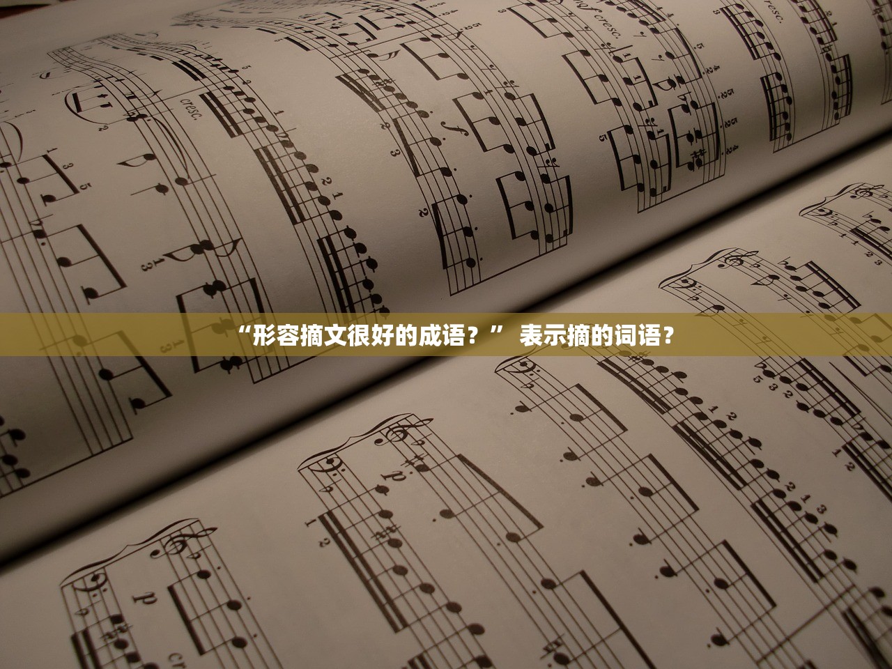 “形容摘文很好的成语？” 表示摘的词语？