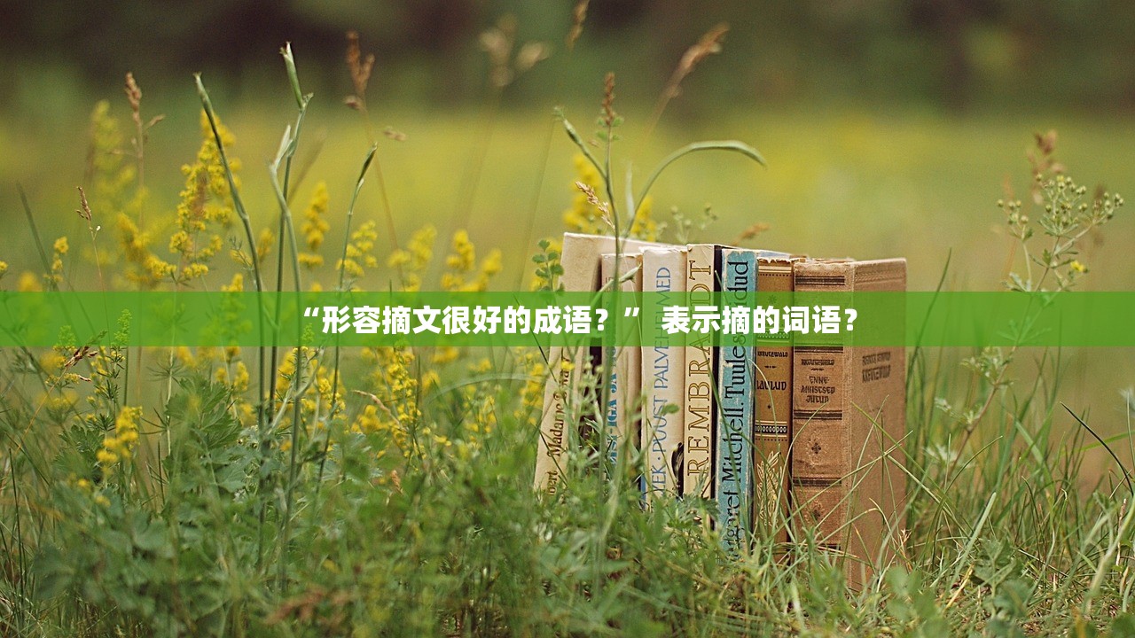 “形容摘文很好的成语？” 表示摘的词语？