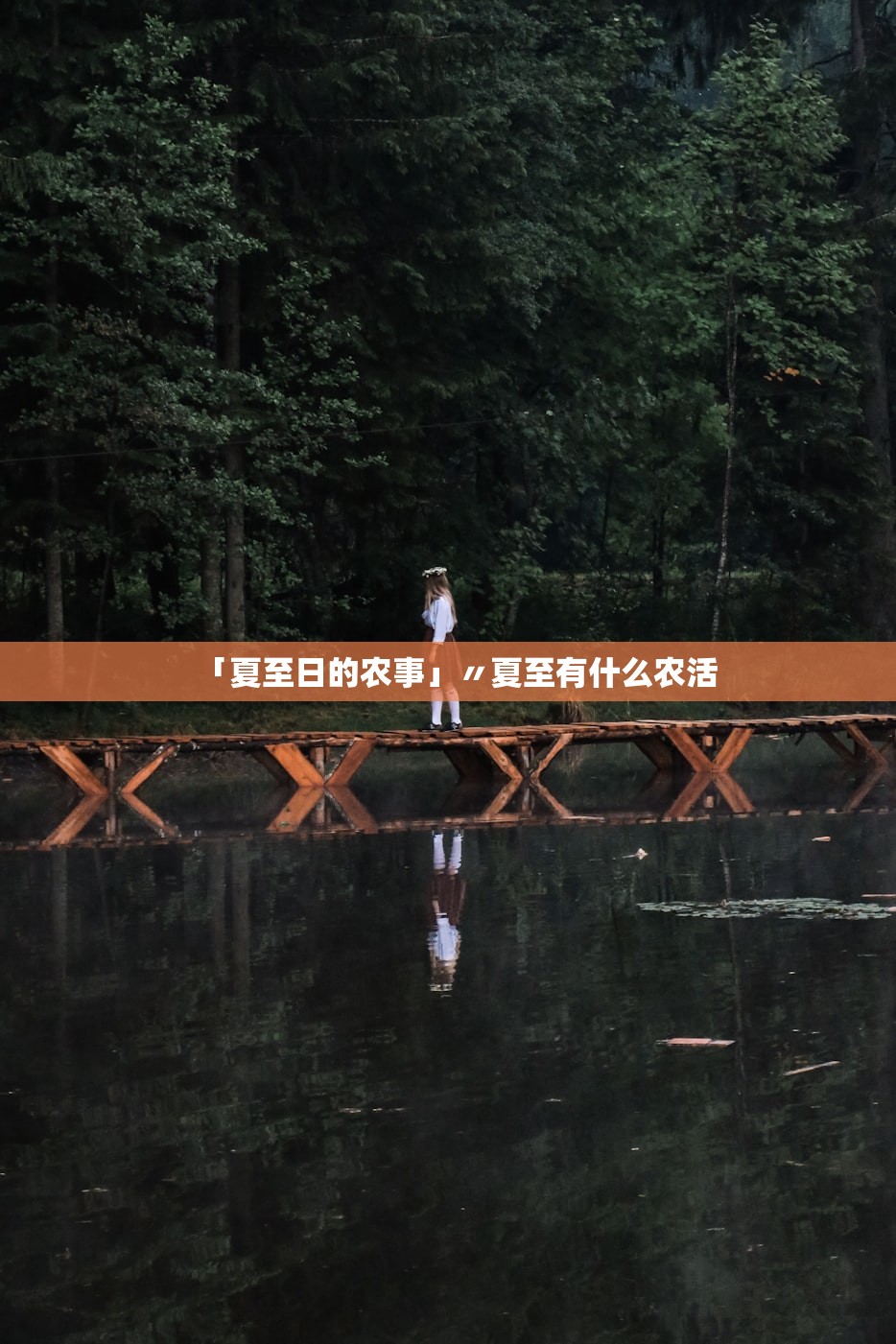 「夏至日的农事」〃夏至有什么农活