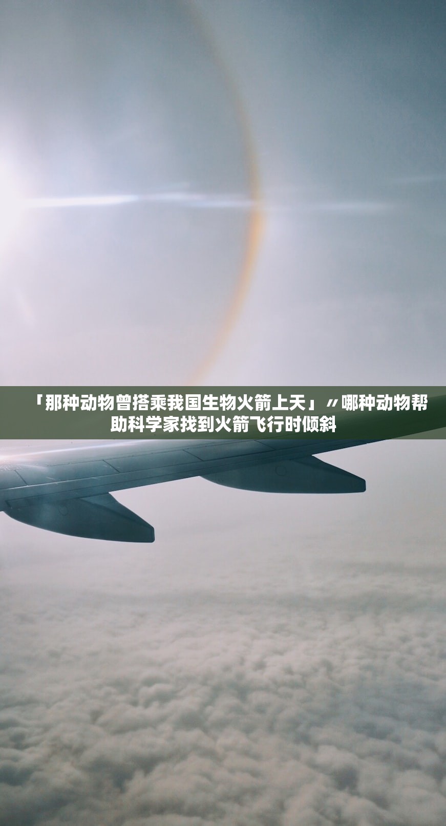 「那种动物曾搭乘我国生物火箭上天」〃哪种动物帮助科学家找到火箭飞行时倾斜
