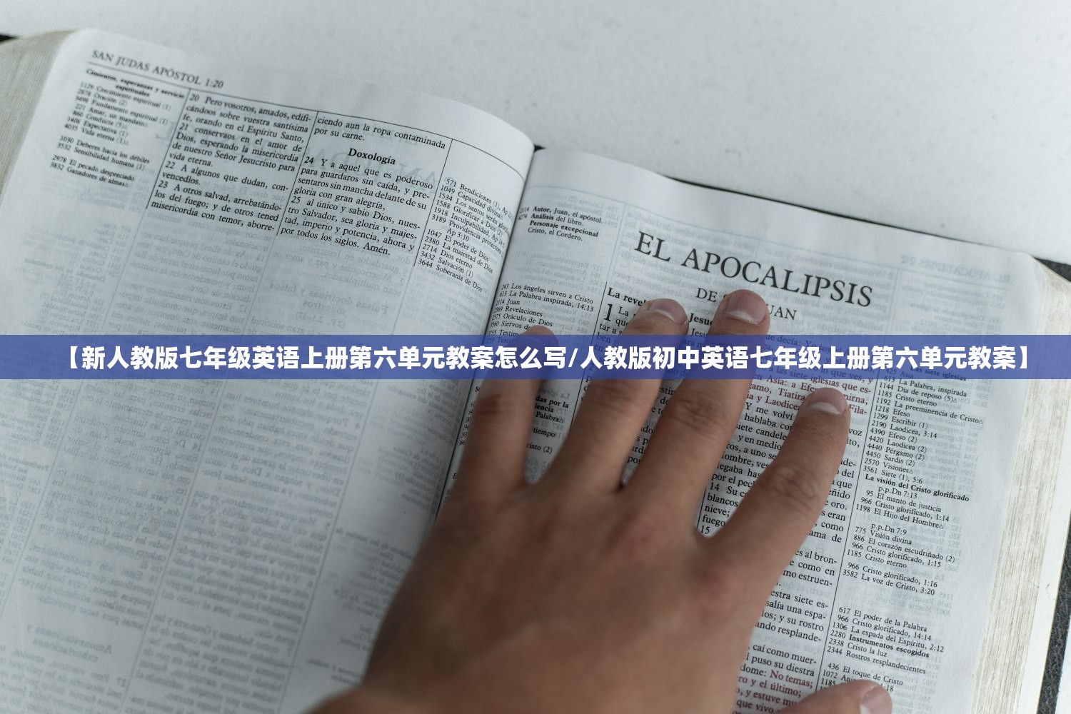 【新人教版七年级英语上册第六单元教案怎么写/人教版初中英语七年级上册第六单元教案】 【新人教版七年级英语上册第六单元教案怎么写/人教版初中英语七年级上册第六单元教案】
