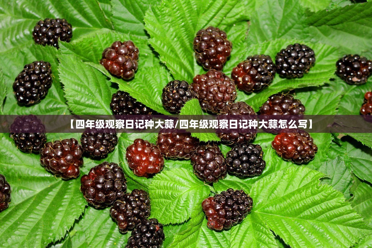 【四年级观察日记种大蒜/四年级观察日记种大蒜怎么写】 【四年级观察日记种大蒜/四年级观察日记种大蒜怎么写】