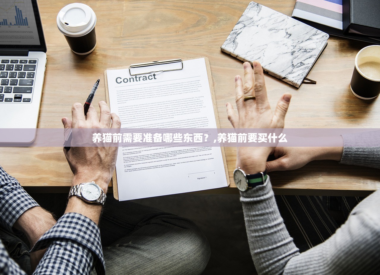 养猫前需要准备哪些东西？,养猫前要买什么