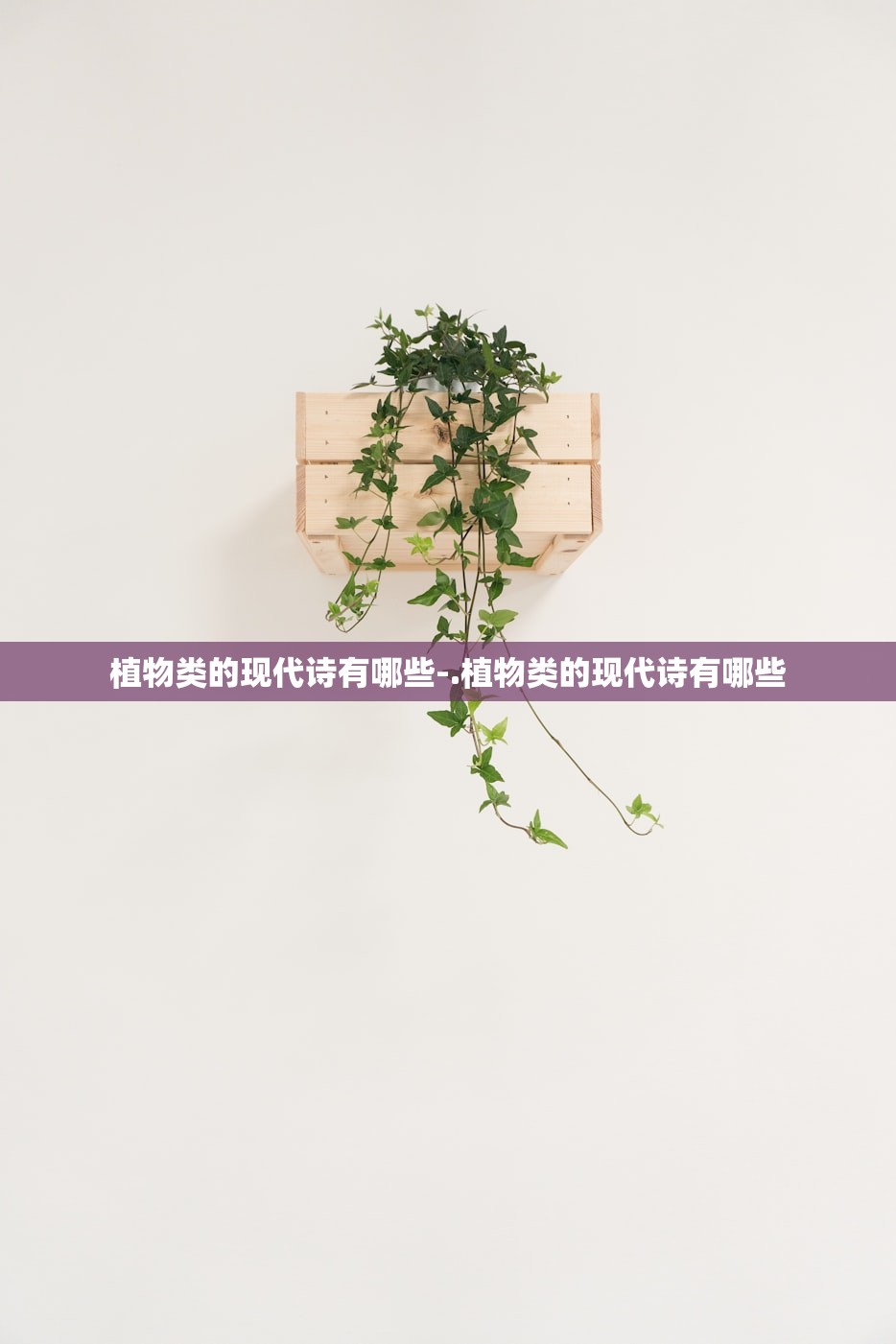 植物类的现代诗有哪些-.植物类的现代诗有哪些 植物类的现代诗有哪些-.植物类的现代诗有哪些
