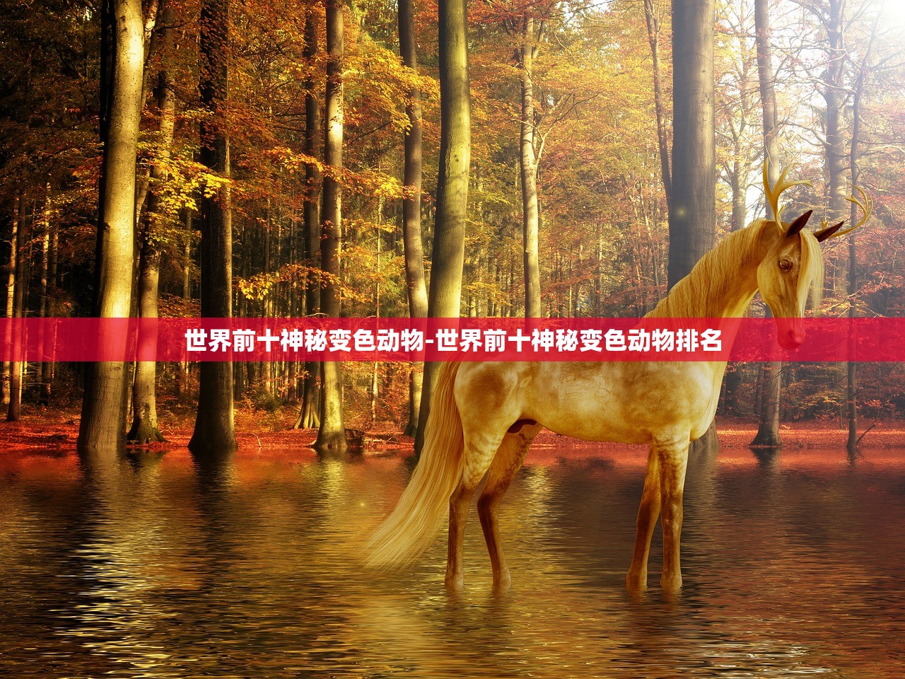 世界前十神秘变色动物-世界前十神秘变色动物排名 世界前十神秘变色动物-世界前十神秘变色动物排名