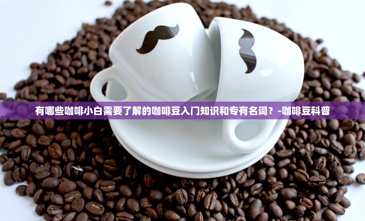 有哪些咖啡小白需要了解的咖啡豆入门知识和专有名词？-咖啡豆科普