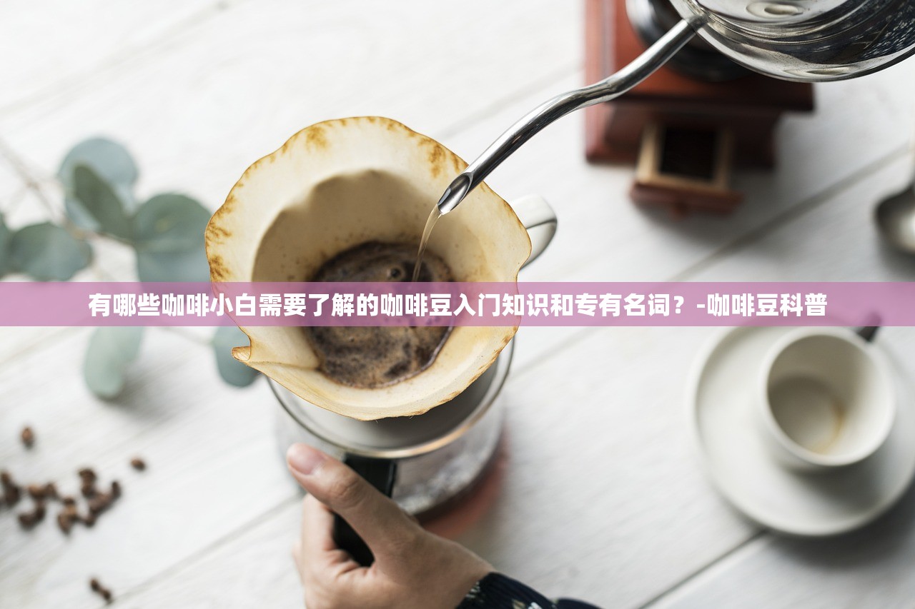 有哪些咖啡小白需要了解的咖啡豆入门知识和专有名词？-咖啡豆科普