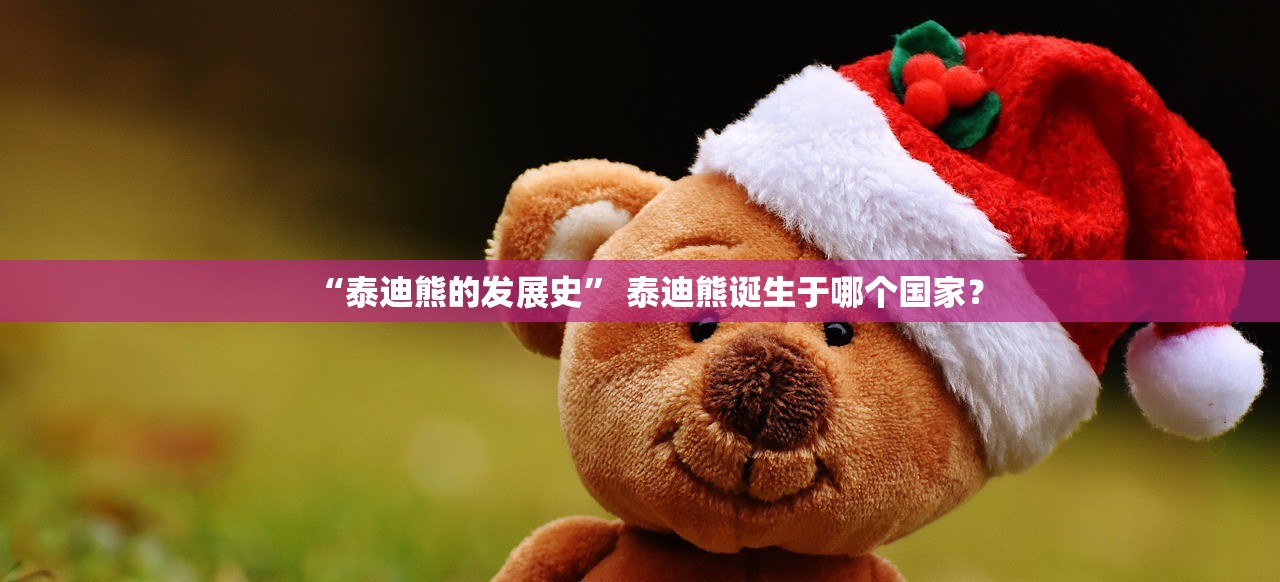 “泰迪熊的发展史	” 泰迪熊诞生于哪个国家？
